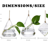 Üveges fali terrárium készlet 3 darabban