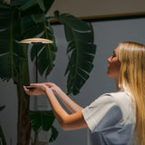 Marset Gyömbér Asztali Lámpa