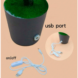 Karácsonyi LED éjjeli fény